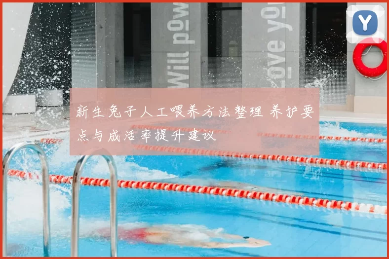 新生兔子人工喂养方法整理 养护要点与成活率提升建议