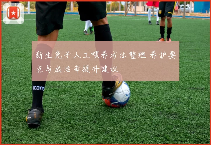 新生兔子人工喂养方法整理 养护要点与成活率提升建议
