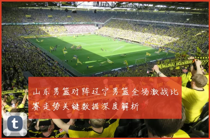 山东男篮对阵辽宁男篮全场激战比赛走势关键数据深度解析