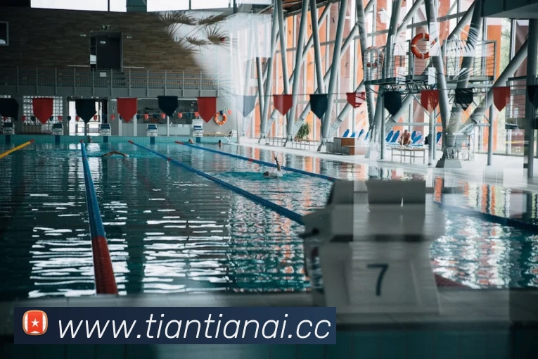 熊猫(体育中国)官方网站发展历程